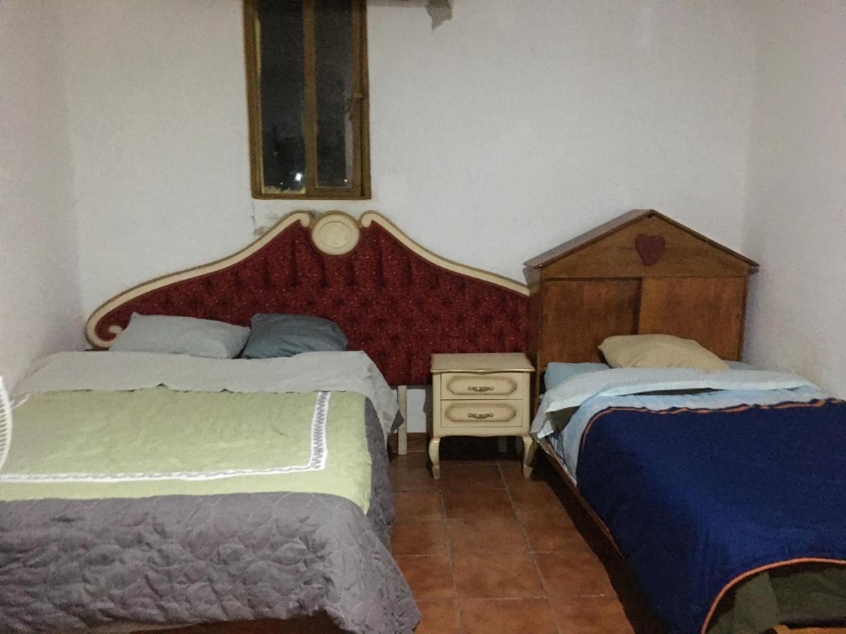La Casa Del Nenufar Hotel Oaxaca Luaran gambar
