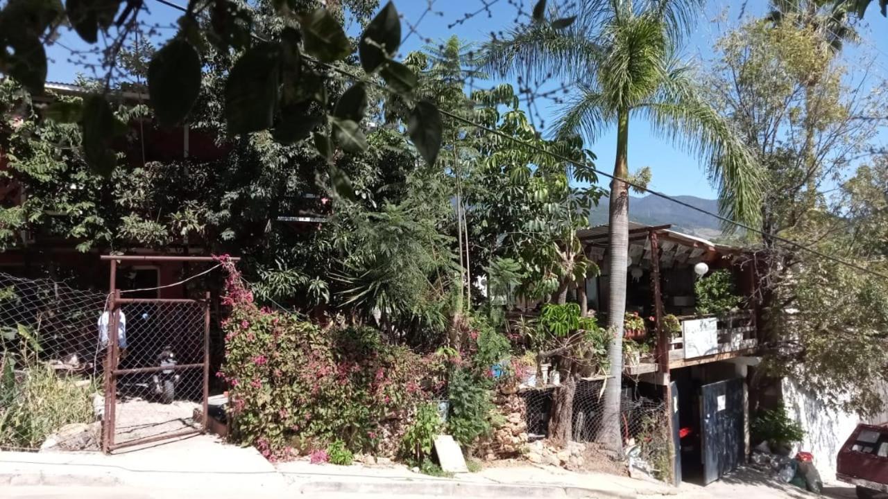 La Casa Del Nenufar Hotel Oaxaca Luaran gambar