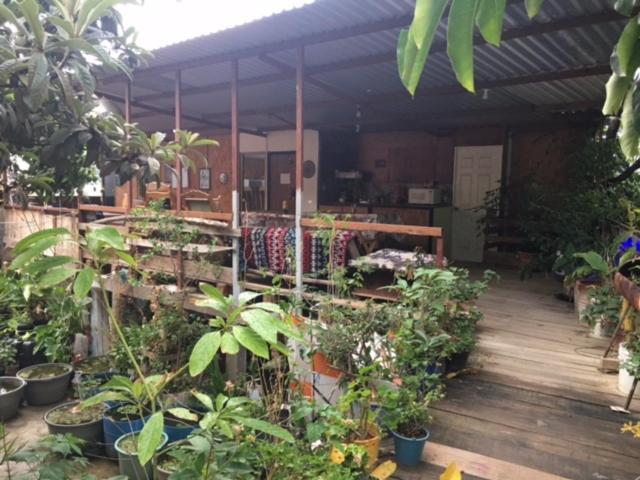 La Casa Del Nenufar Hotel Oaxaca Luaran gambar